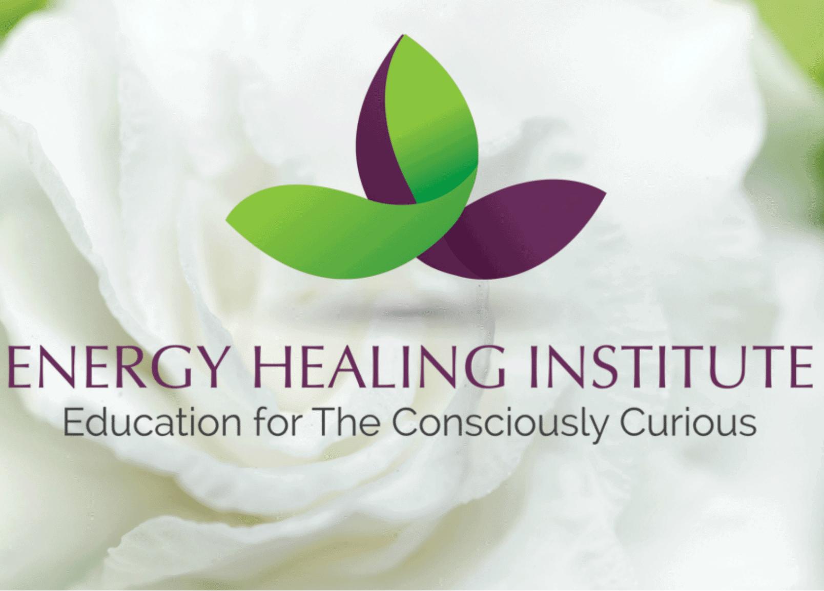 Energy Healing Institute logo