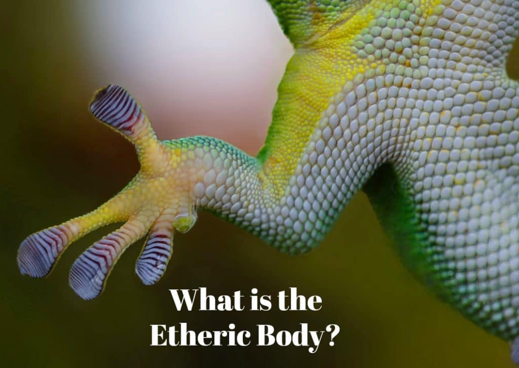 etheric body